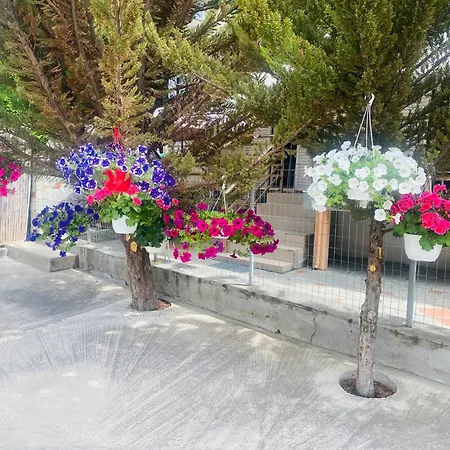 Markos Thassos Potos