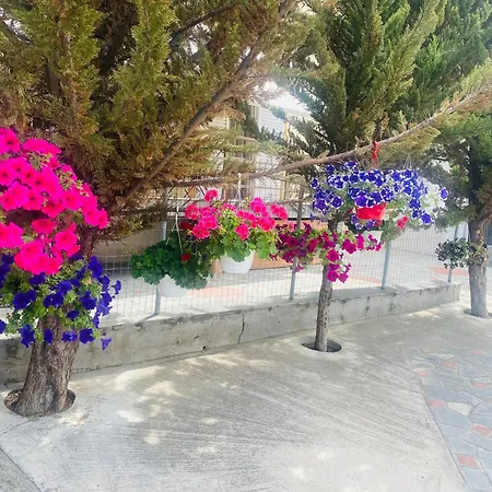 Markos Thassos