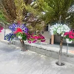 Markos Thassos Potos