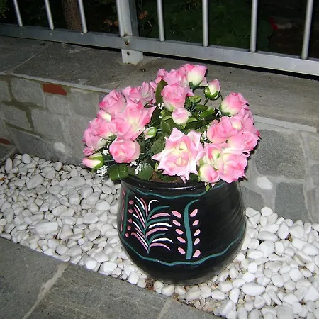 Markos 公寓 波托什