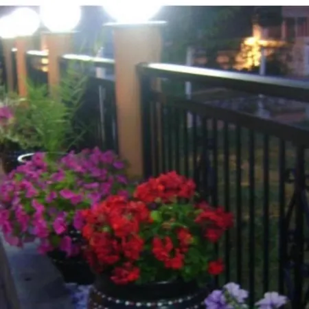 Markos 公寓 波托什