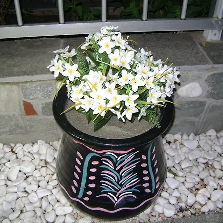 Διαμέρισμα Markos