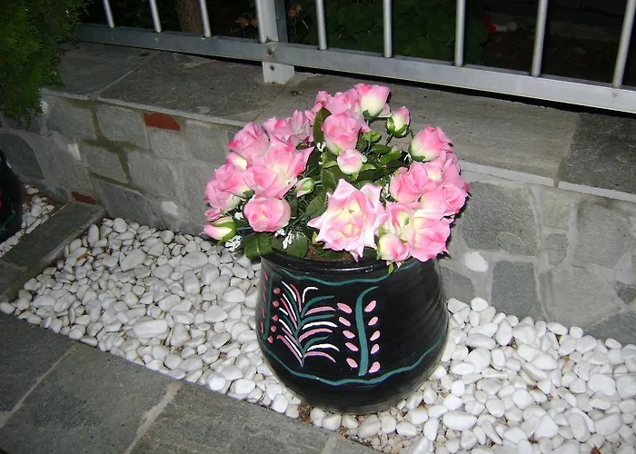 Markos Appartement Potos